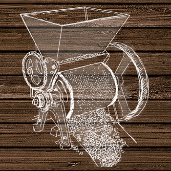 収穫したコーヒーチェリーから種を取り出し、種をきれいに洗浄します。