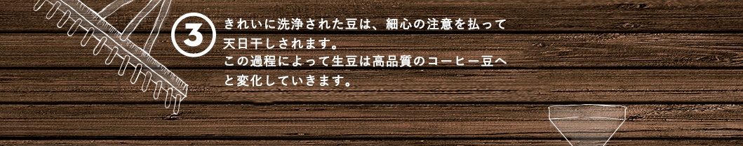 きれいに洗浄された豆は、細心の注意を払って天日干しされます。この過程によって生豆は高品質のコーヒー豆へと変化していきます。