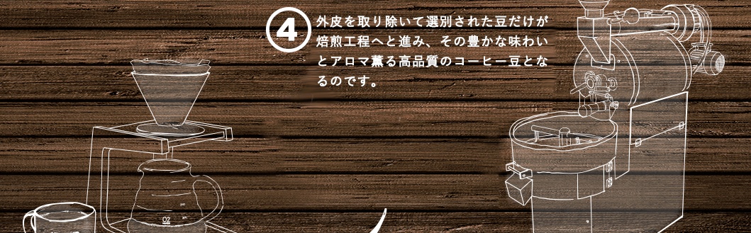 外皮を取り除いて選別された豆だけが焙煎工程へと進み、その豊かな味わいとアロマ薫る高品質のコーヒー豆となるのです。