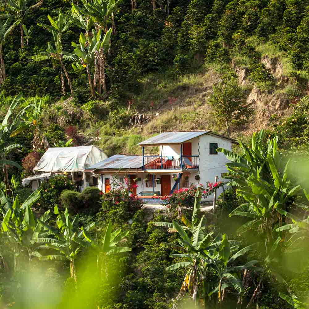 ANTIOQUIA（アンティオキア）山脈の風景